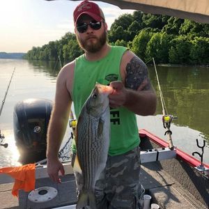 Meet your Posher, Tyler